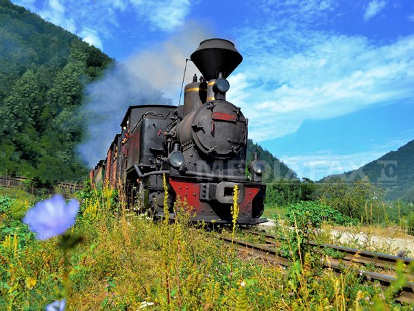 Imaginea articolului Nunţi, concerte şi peste 20.000 de turişti anul trecut în trenul cu aburi din Maramureş