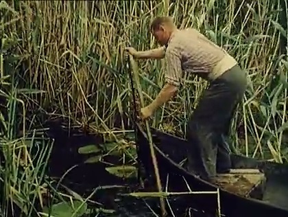 Imaginea articolului IMAGINI RARE din Delta Dunării, într-un reportaj britanic din 1962: Delta, "un paradis pentru orice pescar", iar caviarul românesc, produs de lux exportat în toată lumea - FOTO, VIDEO