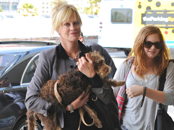 Imaginea articolului Melanie Griffith spune că doreşte custodia celor trei câini, după divorţul de Antonio Banderas