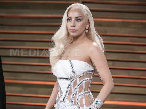 Imaginea articolului Portrete video ale cântăreţei Lady Gaga, vândute pentru peste 1 milion de dolari