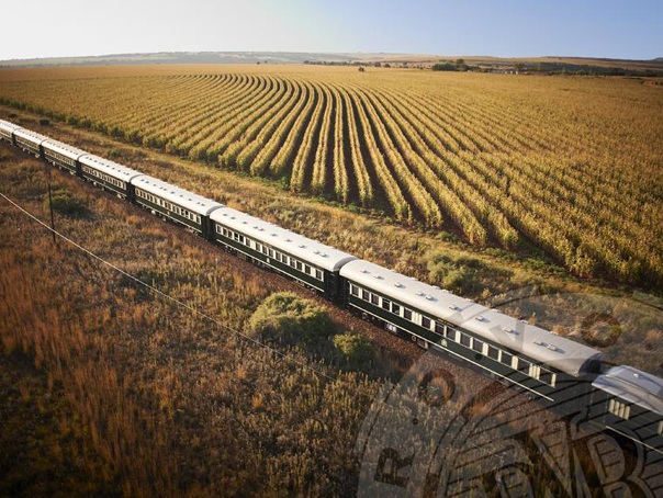 Imaginea articolului Cel mai LUXOS tren din lume: Cât costă o călătorie şi ce reguli trebuie să respecte pasagerii - GALERIE FOTO, VIDEO