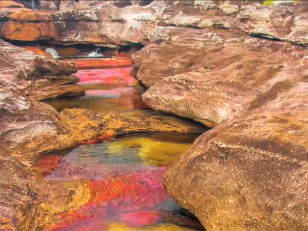 Imaginea articolului ”Cel mai frumos râu din lume?”. Cum arată ”curcubeul lichid” din Columbia - FOTO, VIDEO