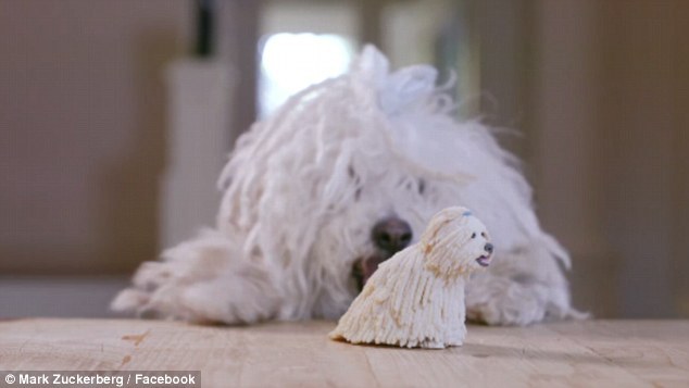 Imaginea articolului VIDEO Câinele lui Mark Zuckerberg a primit cadou o sculptură 3D la aniversarea de şase ani