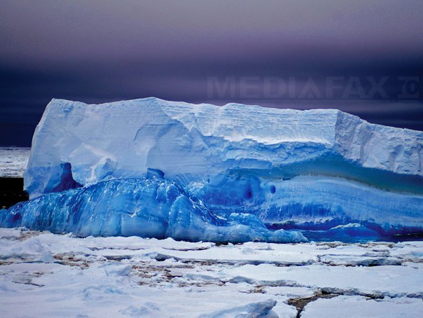 Imaginea articolului Descoperire importantă sub stratul de gheaţă din Antarctica