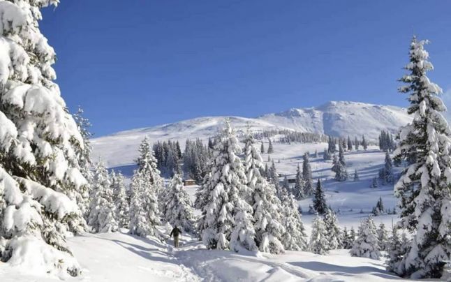 Imaginea articolului INEDIT: Peisaje de basm la munte, create de zăpadă şi viscol | FOTO