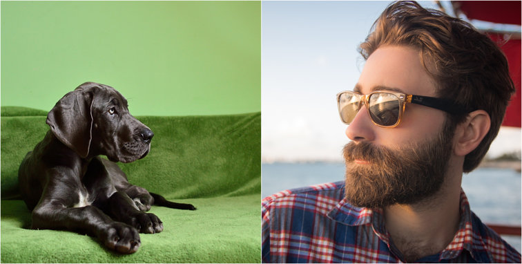 Imaginea articolului Descoperire întâmplătoare: Blana unui câine, mai curată decât barba unui bărbat! Ce spun oamenii de ştiinţă