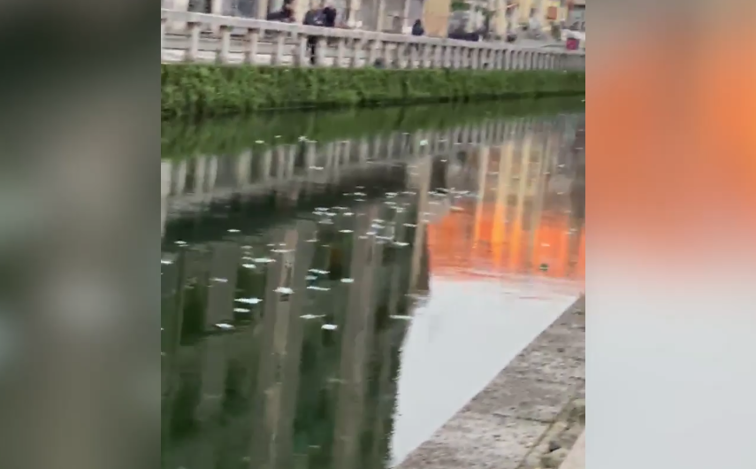 Imaginea articolului VIDEO | Misterul miilor de bancnote de 100 de euro care au apărut pe un râu din Milano