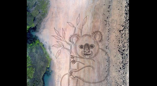 Imaginea articolului VIDEO: O operă de artă uriaşă pe plaja din Australia în memoria dezastrului climatic 