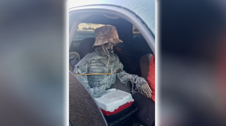 Imaginea articolului Un bărbat a luat un schelet uman în maşină, pe post de pasager. Explicaţia dată poliţiştilor după ce a fost prins 