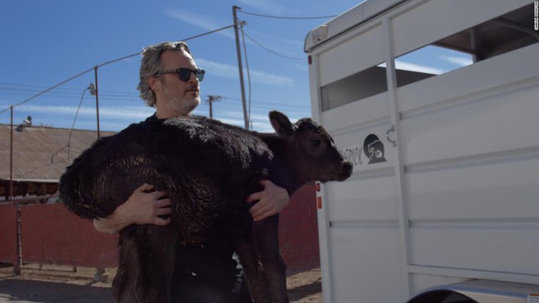 Imaginea articolului VIDEO: Joaquin Phoenix a salvat de la abator o vacă şi un viţel. „Bunătatea şi compasiunea ar trebui mereu să ne înconjoare”