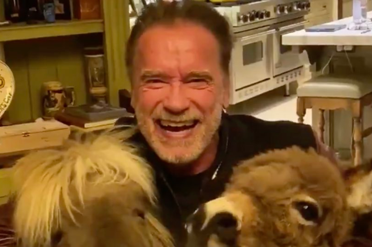Imaginea articolului Arnold Schwarzenegger, calm şi binedispus alături de animalele sale, în plină pandemie COVID-19. Mesajul transmis fanilor - VIDEO