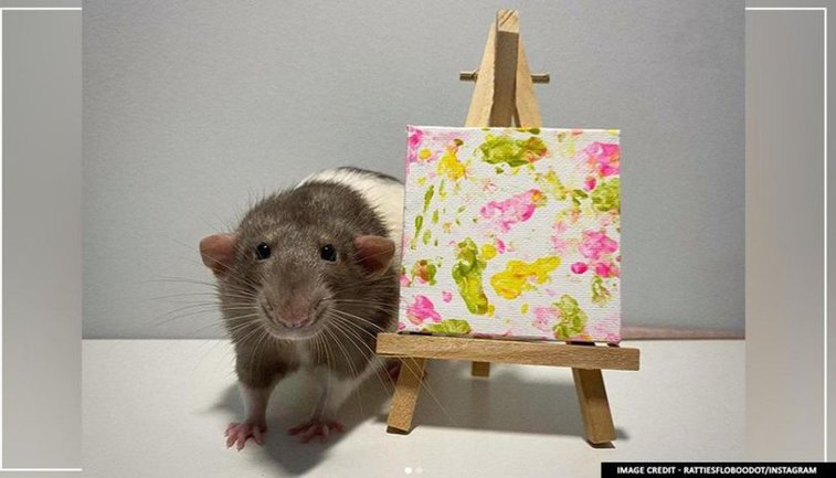 Imaginea articolului Gus - pictorul şobolan. Oamenii se înghesuie să dea câte 1.000 de lire sterline pe picturile sale