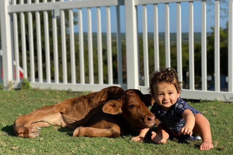 Imaginea articolului FOTO&VIDEO Dragostea pentru animale, balsam pentru minte şi suflet. Copiii cu dizabilităţi au ocazia să întâlnească animale cu aceeaşi condiţie