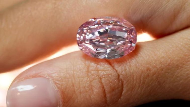 Imaginea articolului Diamant de milioane. Cu cât s-a vândut „Spiritul Trandafirului”