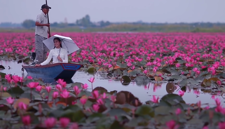 Imaginea articolului Lacul cu nuferi roz: o privelişte ireală, în inima Thailandei