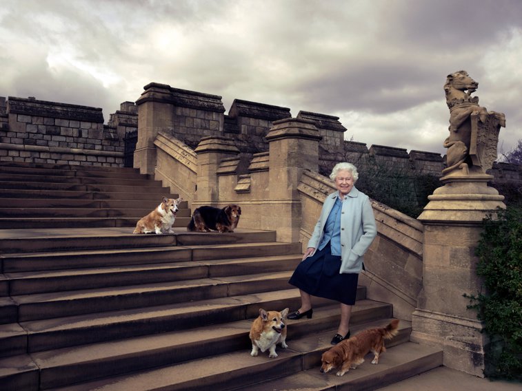 Imaginea articolului Regina Elisabeta a II-a se desparte de încă un animal de companie. Câinele său, Vulcan, a murit 