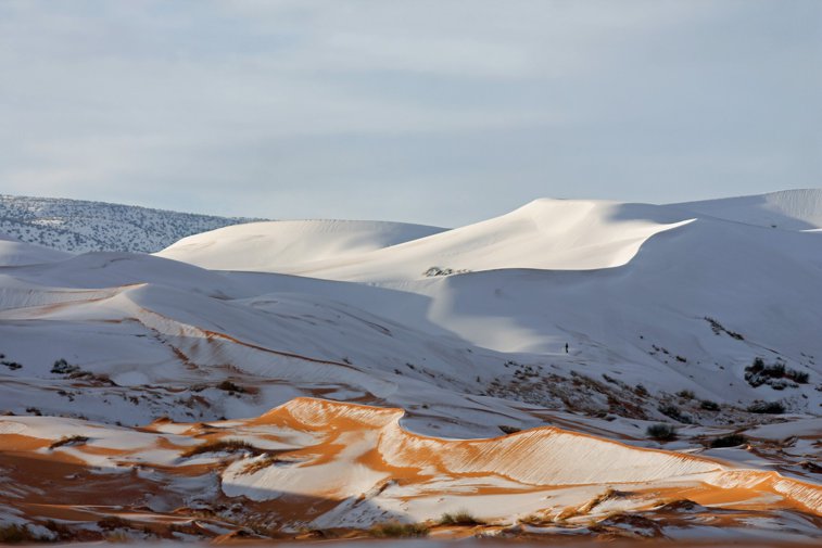 Imaginea articolului Fenomen extrem de rar: Deşertul Sahara a fost acoperit de zăpadă 