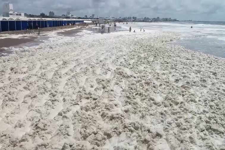 Imaginea articolului VIDEO La joacă, pe malul mării. Turiştii din staţiunea Mar del Plata s-au bucurat de un fenomen natural mai puţin obişnuit