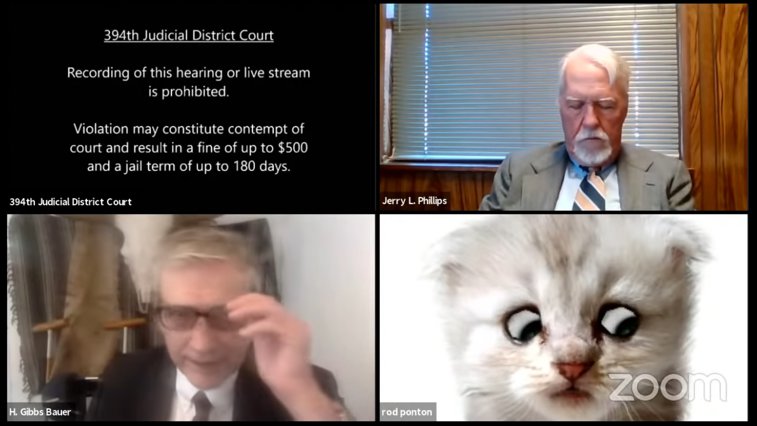 Imaginea articolului Gafa anului pe Zoom. În timpul unui proces din Texas un avocat a intrat în conferinţă cu un filtru de pisică, spre amuzamentul judecătorului