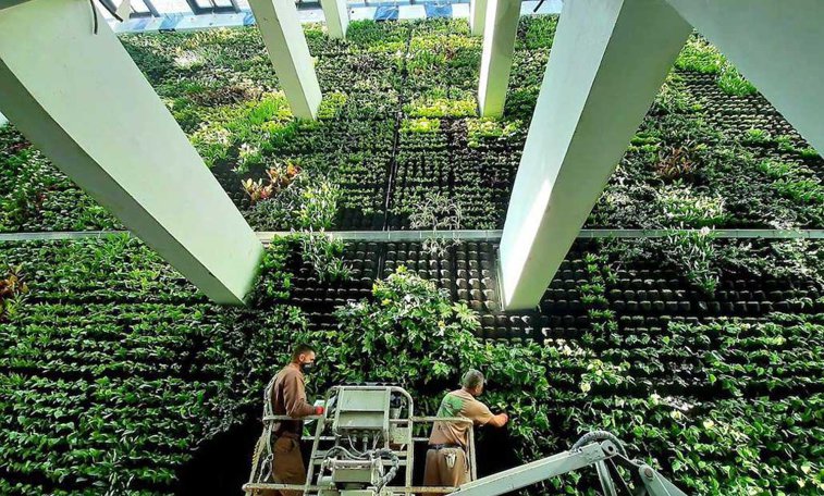 Imaginea articolului O fabrică de tutun a devenit cea mai mare grădină verticală indoor din Europa