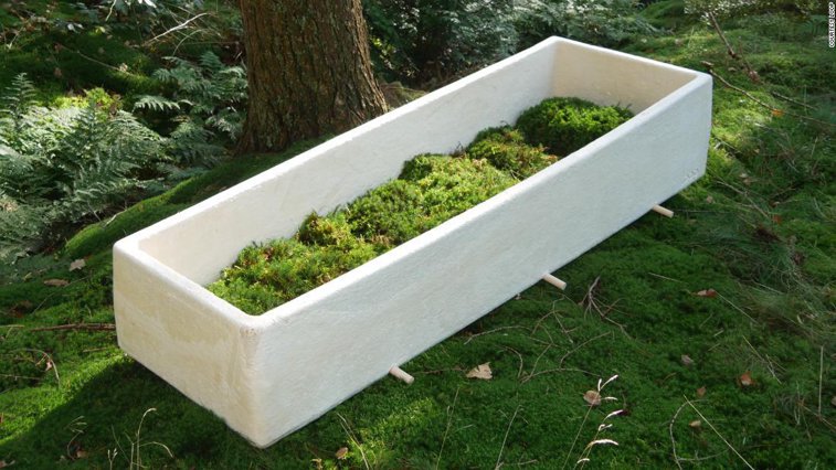 Imaginea articolului ”Sicriul” din ciuperci, o alternativă ecologică pentru înmormântări