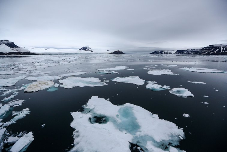 Imaginea articolului Zona arctică se topeşte. Cea mai mare temperatură înregistrată vreodată