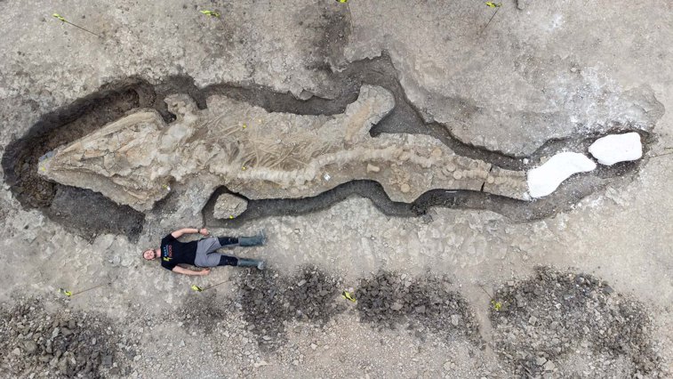 Imaginea articolului A fost descoperit un ihitozaur, un monstru marin de 10 metri