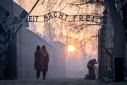 Imaginea articolului Turist arestat la Auschwitz. Gestul, după o glumă stupidă