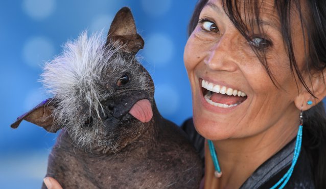  Mr. Happy Face, o combinaţie dintre Chihuahua şi Mohawk, a fost încoronat drept cel mai urât câine din lume. Concursul promovează adopţia: indiferent de aspectul lor, merită să fie iubiţi|EpicNews