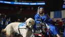 Imaginea articolului Un câine a primit o diplomă de absolvire a facultăţii din New Jersey