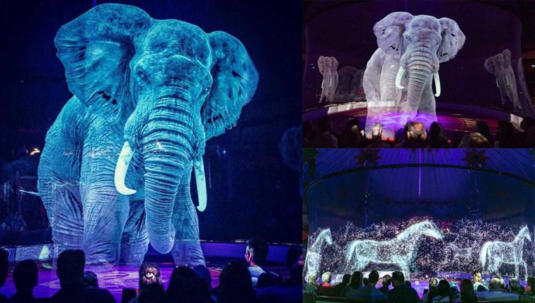 Imaginea articolului Un circ din Germania a înlocuit în spectacolele sale animalele vii cu holograme