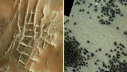 Imaginea articolului Noi imagini satelitare arată sute de "păianjeni" negri pe Marte 
