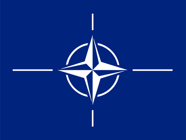Imaginea articolului Funcţionarea AP NATO costă mai puţin decât cheltuielile pentru sesiunea de la Bucureşti