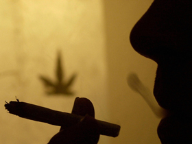 Imaginea articolului Cannabis, Most Wanted Drug In Europe – Report