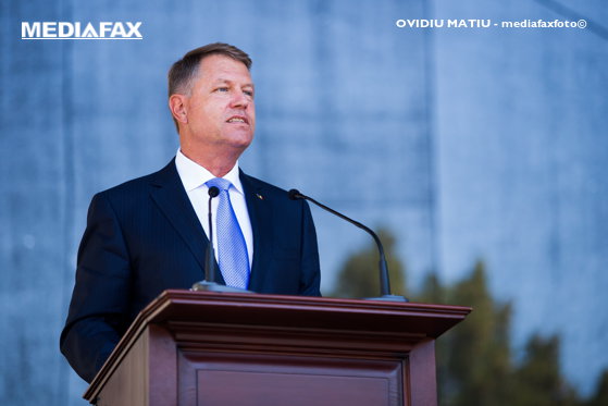 Imaginea articolului Klaus Iohannis to the diaspora: We have to tell them sadly, but also sincerely, not to come home