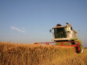 Imaginea articolului Romania Opposes To Further EU Suspension Of Grain Import Duties
