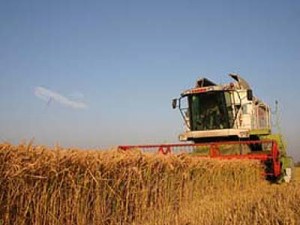 Imaginea articolului Romanian Agriculture Four Times Less Insured Than EU Avg – Ministry Official