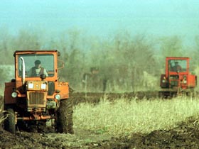 Imaginea articolului New Romanian Govt To Allocate Average Subsidy Of RON1.500 Per Hectare For Farmers