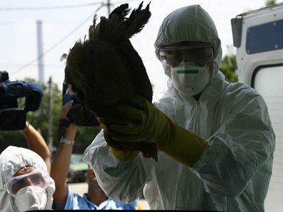 Imaginea articolului Bird Flu Suspicion In Household In SE Romania
