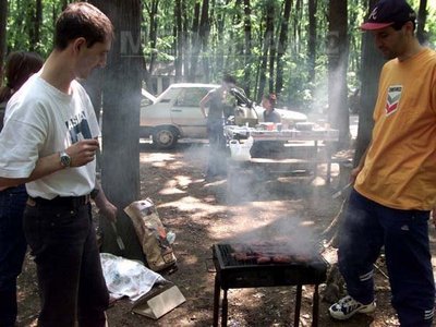 Imaginea articolului Romanian President Passes Law Banning Picnicking Outside Authorized Areas