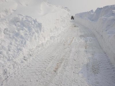 Imaginea articolului Romanian Farmers To Receive Relief Of EUR1.9M For Damage Caused By Freezing Weather