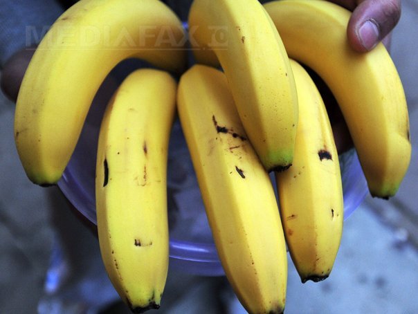 Imaginea articolului Un nou soi de banane, cu vitamina A, este testat în Statele Unite ale Americii