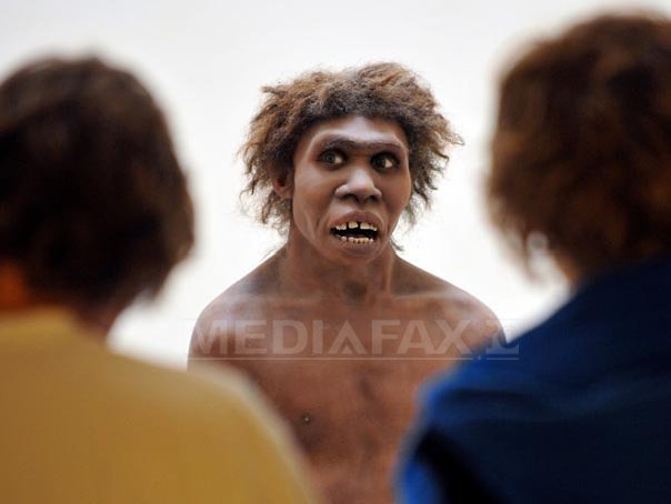 Imaginea articolului Descoperire inedită despre omul de Neanderthal: are o origine de cel puţin 430.000 de ani
