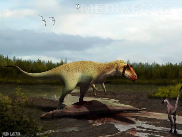 Imaginea articolului STUDIU: Tiranozaurii trăiau în turmă