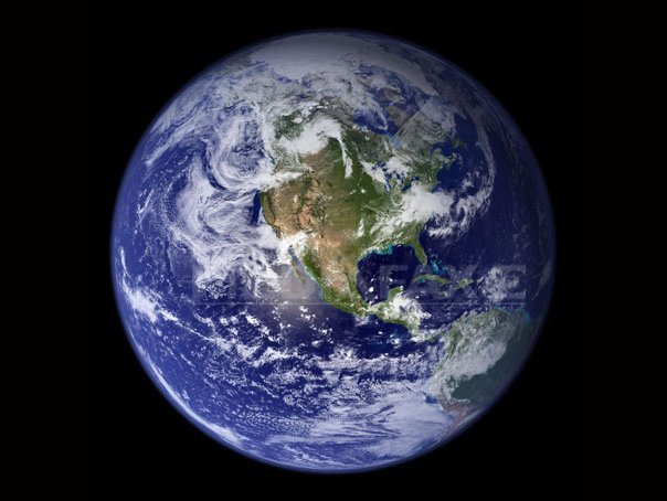 Imaginea articolului AVERTIZAREA oamenilor de ştiinţă: Pământul, în pragul unei noi extincţii în masă