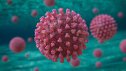 Imaginea articolului STUDIU Coronavirusul îşi pierde 90% din capacitatea de a infecta, în cinci minute, în aer 