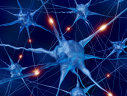 Imaginea articolului ”Un nou pas important" în găsirea unui tratament pentru boala neuronilor motori. Medicamentul care poate întârzia progresia paraliziei