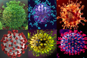Imaginea articolului Un nou virus mutant ar putea evolua în curând pentru a infecta şi ucide milioane de oameni 