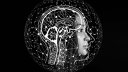 Imaginea articolului Inteligenţa artificială distinge diferenţele dintre creierul bărbaţilor şi cel al femeilor