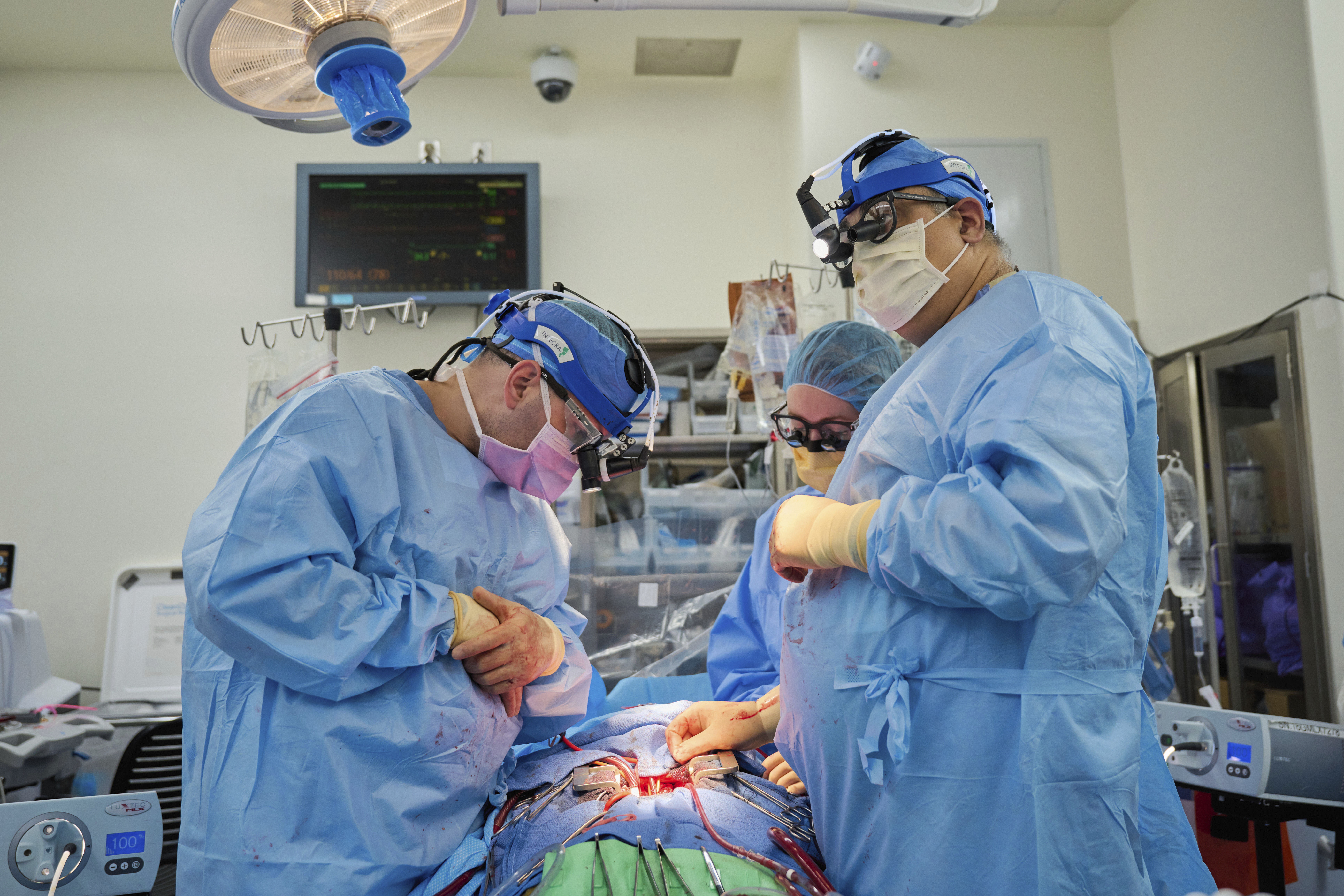 S-a realizat al doilea transplant de rinichi de porc către un pacient uman